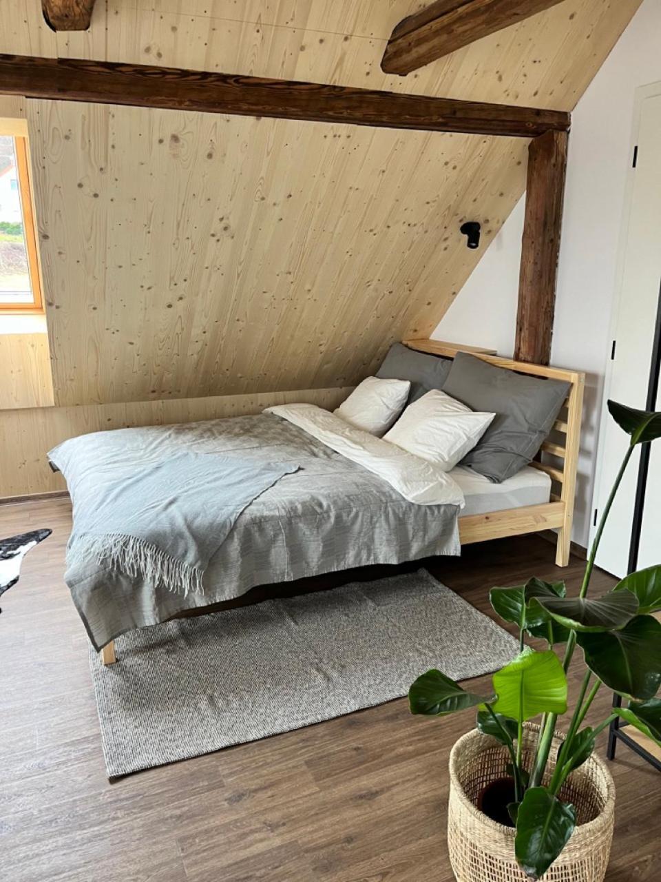 Sanky Apartmany Liberec Zewnętrze zdjęcie