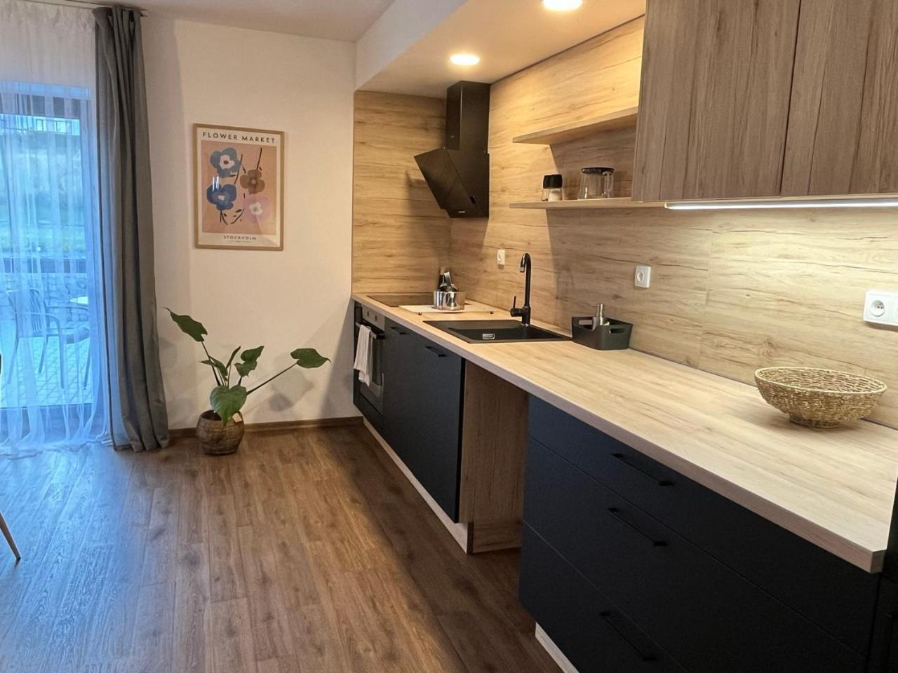 Sanky Apartmany Liberec Zewnętrze zdjęcie